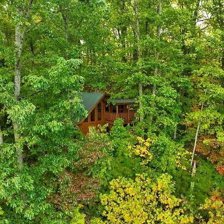 Bearway To Heaven Villa Sevierville Exterior photo