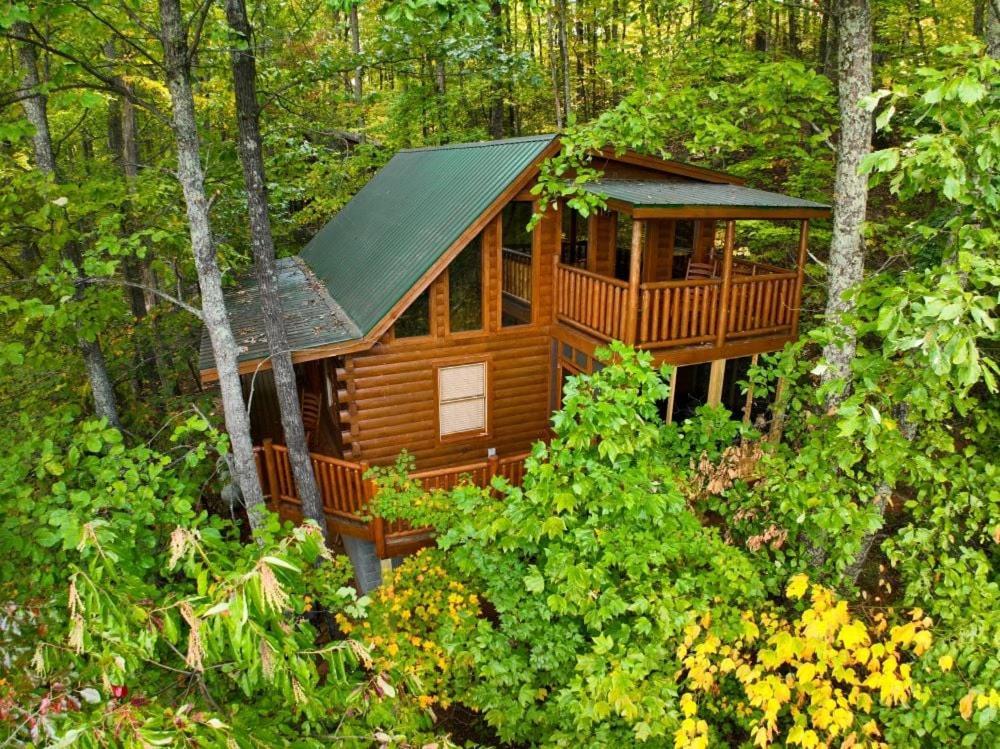 Bearway To Heaven * Sevierville