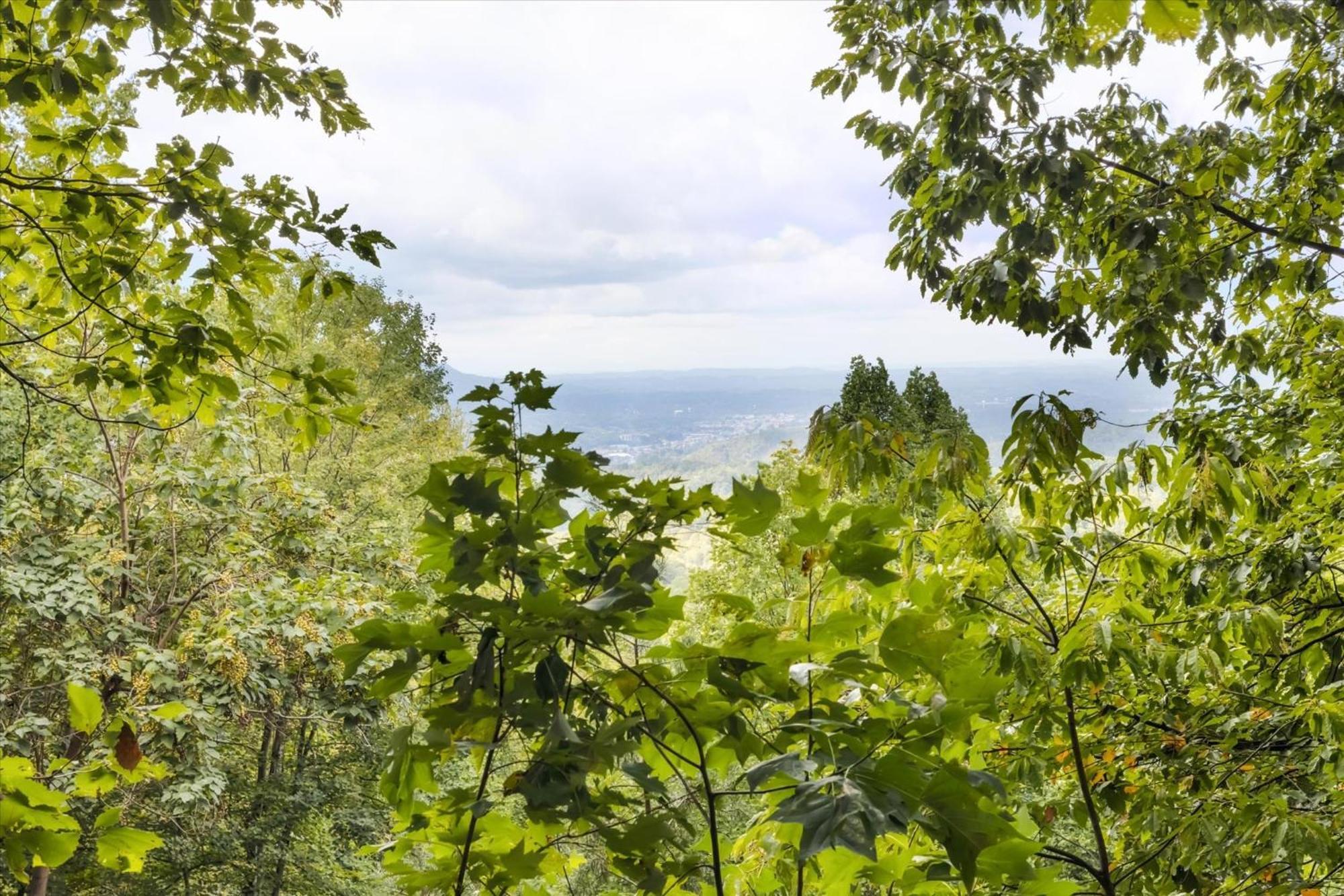 Bearway To Heaven Holiday home Sevierville