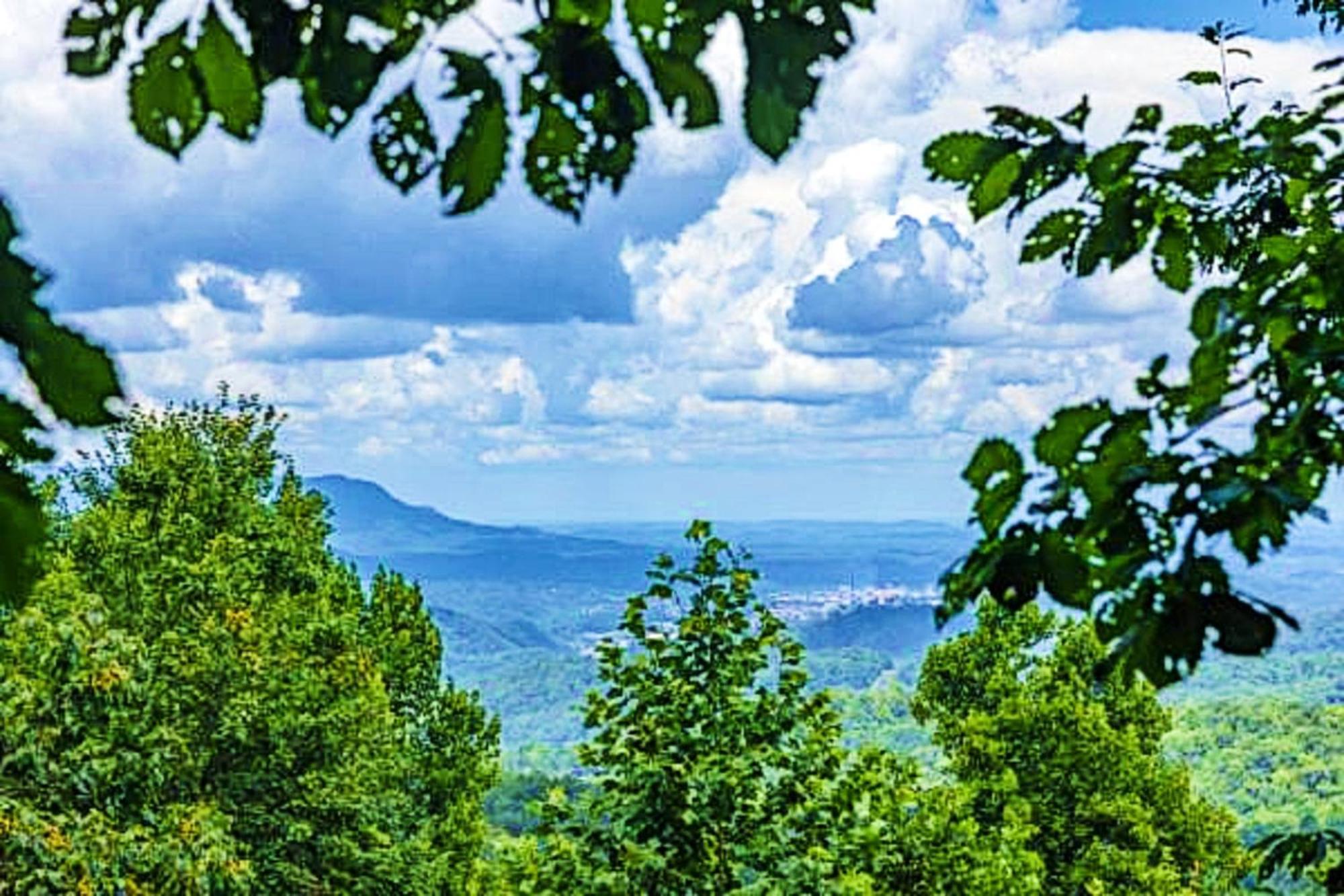 Bearway To Heaven * Sevierville